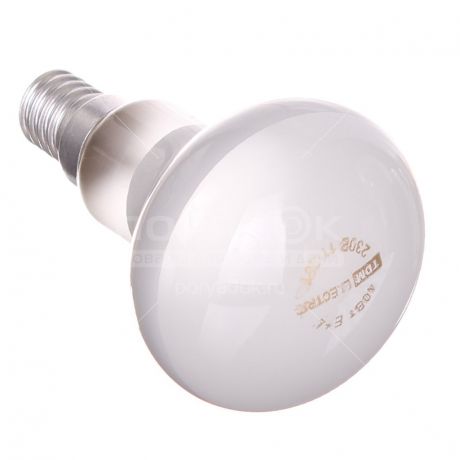 Лампа накаливания TDM Electric SQ0332-0027 R50 40 Вт E14