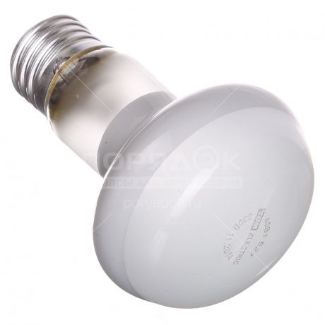 Лампа накаливания TDM Electric SQ0332-0029 R63 40 Вт E27