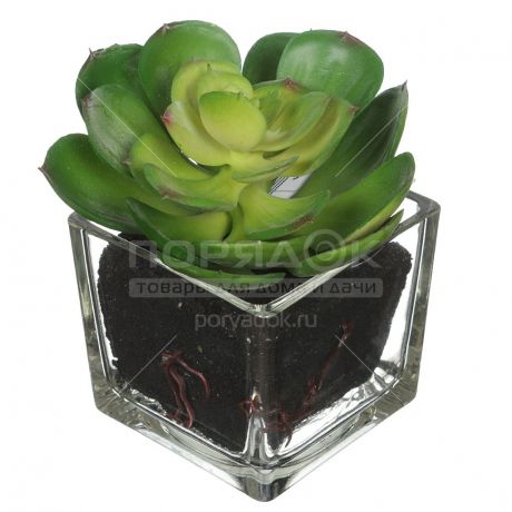 Цветок искусственный декоративный Эхеверия в прозрачном горшке 16-0102, 10 см