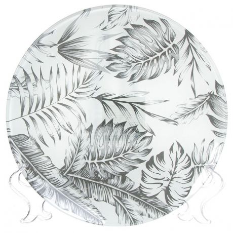 Тарелка обеденная стеклянная, 200 мм, Тропики серый DNN круглая