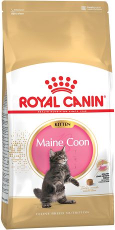 Royal Canin Maine Coon Kitten 36 для котят мэйн кун (0,4 кг)