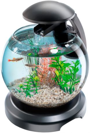Аквариум Tetra Cascade Globe круглый с Led светильником, цвет черный, 6,8 литра (1 шт)