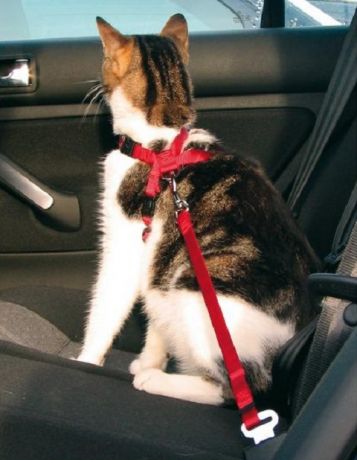 Trixie автомобильный ремень безопасности для кошек (20 – 50 см)
