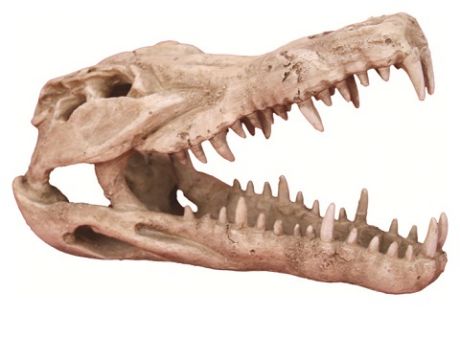 Декорация для аквариума Череп крокодила пластиковая, 25 х 11,2 х 15,2 см, Prime (1 шт)