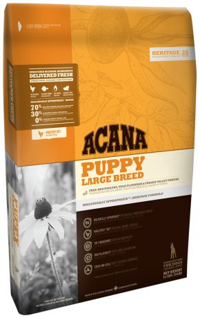 Acana Puppy Large Breed для щенков крупных пород (17 кг)