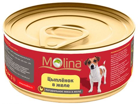 Molina для взрослых собак с цыпленком в желе 85 гр (85 гр)