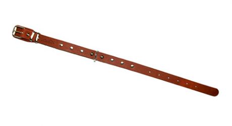 Ошейник для собак кожаный коньячный 32 - 44 см x 20 мм Аркон (1 шт)