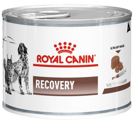 Royal Canin Recovery для собак и кошек в период выздоровления 195 гр (195 гр х 12 шт)