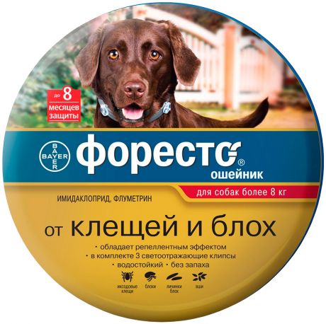Foresto – Форесто ошейник для собак против клещей, блох и вшей (длина 70 см) Bayer (1 шт)