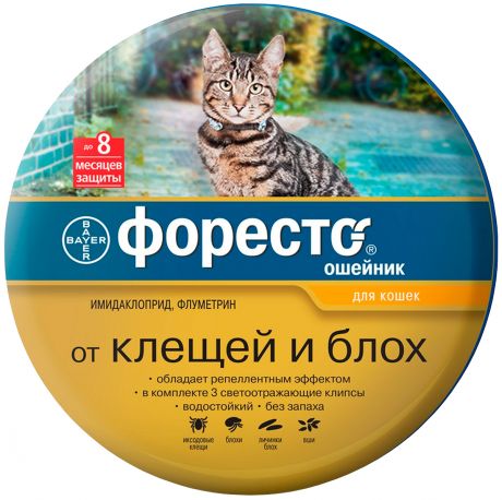 Foresto – Форесто ошейник для кошек против клещей, блох и вшей 38 см Bayer (1 шт)