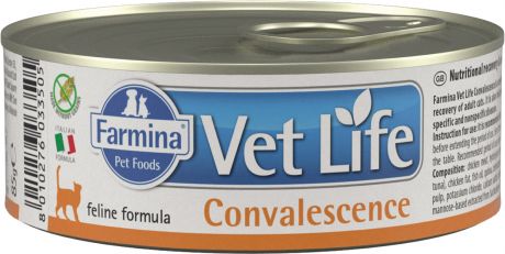 Farmina Vet Life Feline Convalescence для взрослых кошек в период выздоровления 85 гр (85 гр)