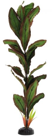 Растение для аквариума шелковое Криптокорина Бекетти Barbus Plant 040 (10 см)