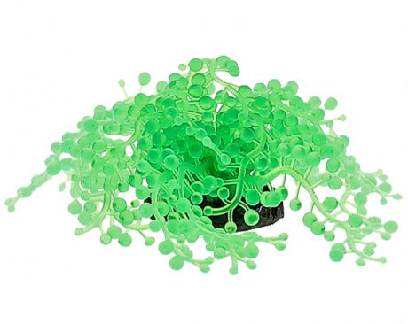 Декор для аквариума Коралл силиконовый Vitality зеленый 4,5 х 4,5 х 11 см Sh133g (1 шт)