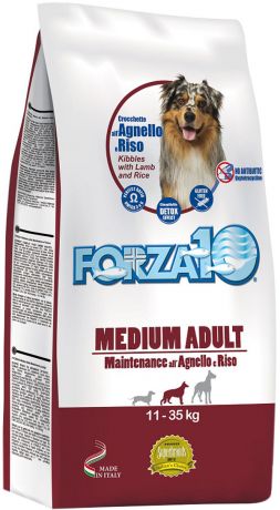 Forza10 Dog Maintenance Adult Medium для взрослых собак средних пород с ягненком и рисом (12,5 кг)