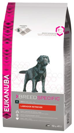 Eukanuba Labrador Retriever для взрослых собак лабрадор ретривер (10 + 10 кг)