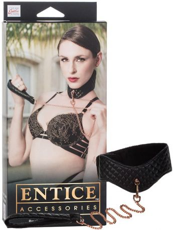 Ошейник Entice Posture Collar with Leash с поводком – черный