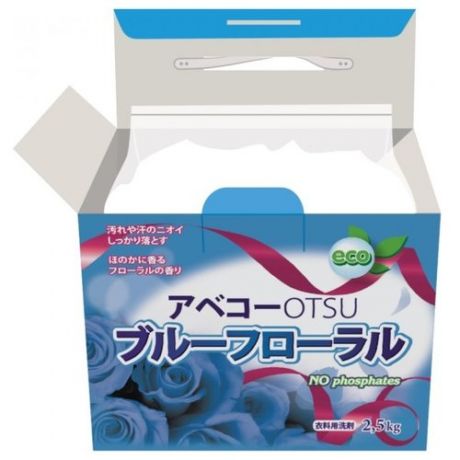 Стиральный порошок Daiichi OTSU антибактериальный с кислородным отбеливателем картонная пачка 2.5 кг