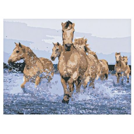 Рыжий кот Картина по номерам "Резвые лошади в воде" 30х40 см (Х-9111)