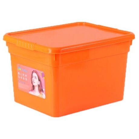 FunBox Ящик для хранения Funcolor 5 л оранжевый