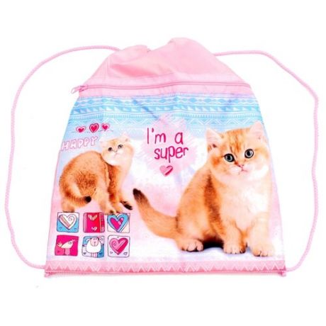 Prof-Press мешок для обуви Счастливый кот (МО-5963) розовый/голубой