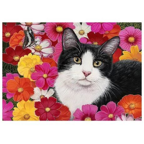 Рыжий кот Картина по номерам "Черно-белый кот с бабочкой в цветах" 30х40 см (Х-7618)