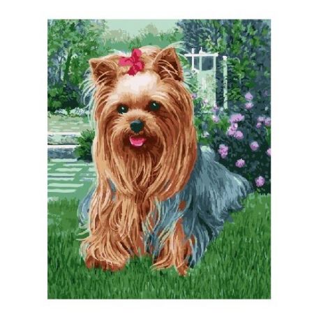 ВанГогВоМне Картина по номерам "Милая собачка", 40х50 см (ZX 21567)