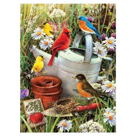 Royal & Langnickel Картина по номерам "Птицы в саду" 22x29 см (PJS71)