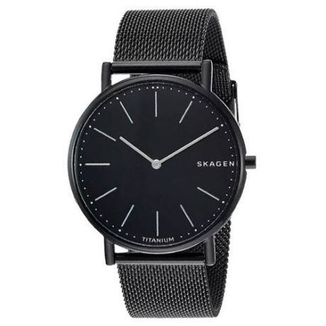 Наручные часы SKAGEN SKW6484