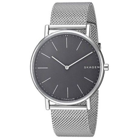 Наручные часы SKAGEN SKW6483