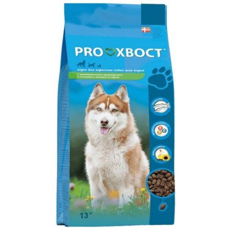 Корм для собак PROхвост (13 кг) Сухой корм для собак с чувствительным пищеварением и склонных к аллергии с Лососем и рисом