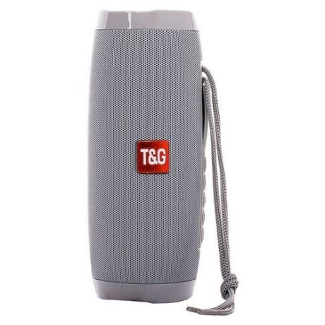 Портативная акустика T&G TG157 серый