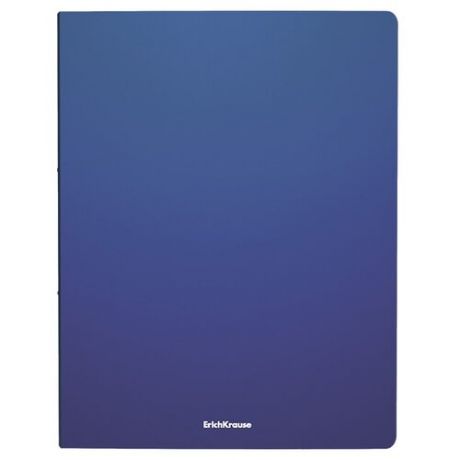 ErichKrause Папка файловая с 10 карманами Matt classic A4, 4 штуки синий