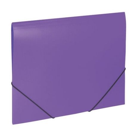 BRAUBERG Папка на резинках Office А4 фиолетовая