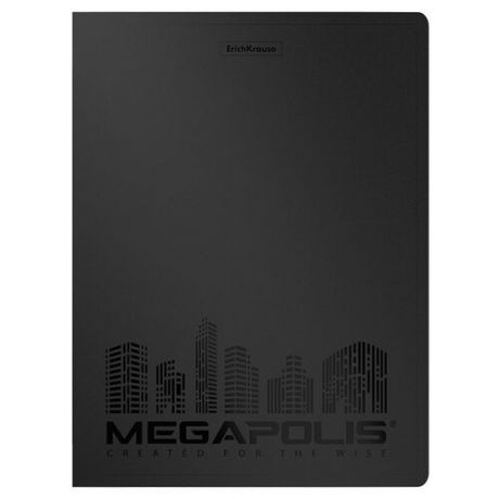ErichKrause Папка файловая с 20 карманами Megapolis A4, 4 штуки черный