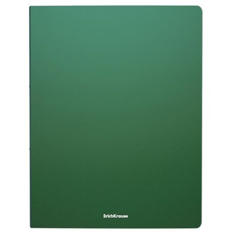 ErichKrause Папка файловая с 20 карманами Matt classic A4, 4 штуки зеленый