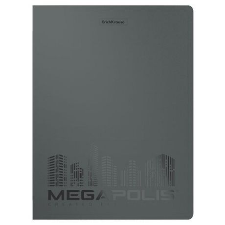 ErichKrause Папка файловая с 40 карманами MEGAPOLIS A4, 4 штуки серый