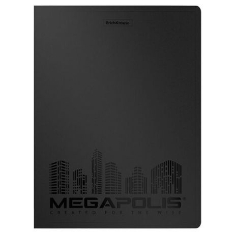 ErichKrause Папка файловая с 40 карманами MEGAPOLIS A4, 4 штуки черный
