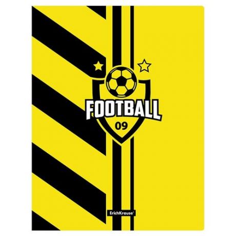 ErichKrause Папка файловая с 20 карманами Football time A4, 4 штуки желтый/черный