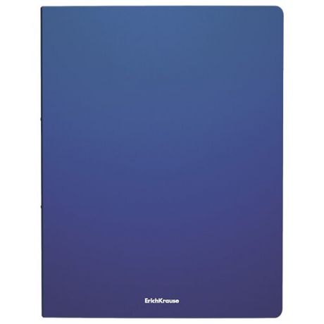 ErichKrause Папка файловая с 30 карманами Matt classic A4, 4 штуки синий