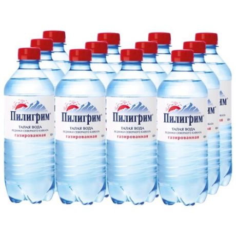 Минеральная питьевая вода Пилигрим газированная, ПЭТ, 12 шт. по 0.5 л