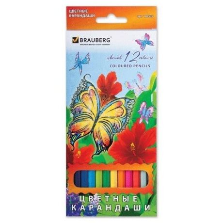 BRAUBERG Карандаши цветные Wonderful butterfly, 12 цветов с блестками (180535)