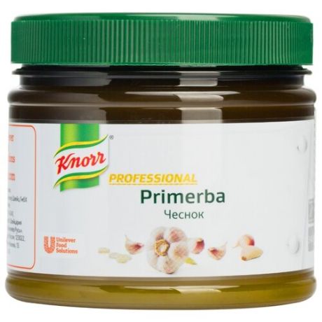 Knorr Приправа PRIMERBA Чеснок в растительном масле