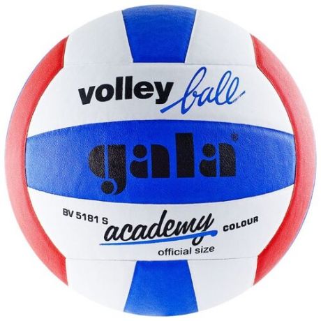 Волейбольный мяч Gala Academy синий/белый/красный