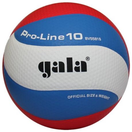 Волейбольный мяч Gala Pro-Line 10 белый/синий/красный