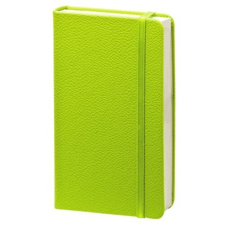 Записная книжка InFolio Lifestyle, 96 листов, светло-зеленый