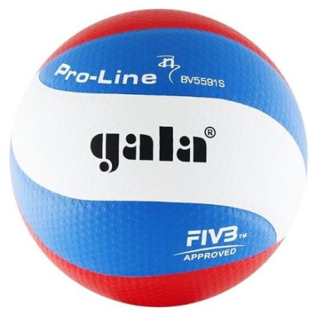 Волейбольный мяч Gala Pro-Line 10 FIVB белый/синий/красный