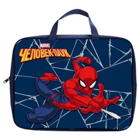 Школьная сумка Hatber Человек-паук NSn_76008 синий