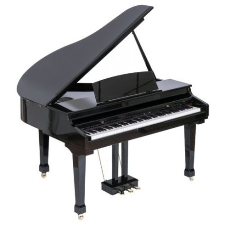 Цифровое пианино Orla Grand 500 черный 2