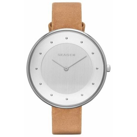 Наручные часы SKAGEN SKW2326