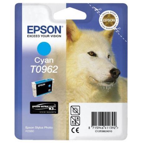 Картридж Epson C13T09624010